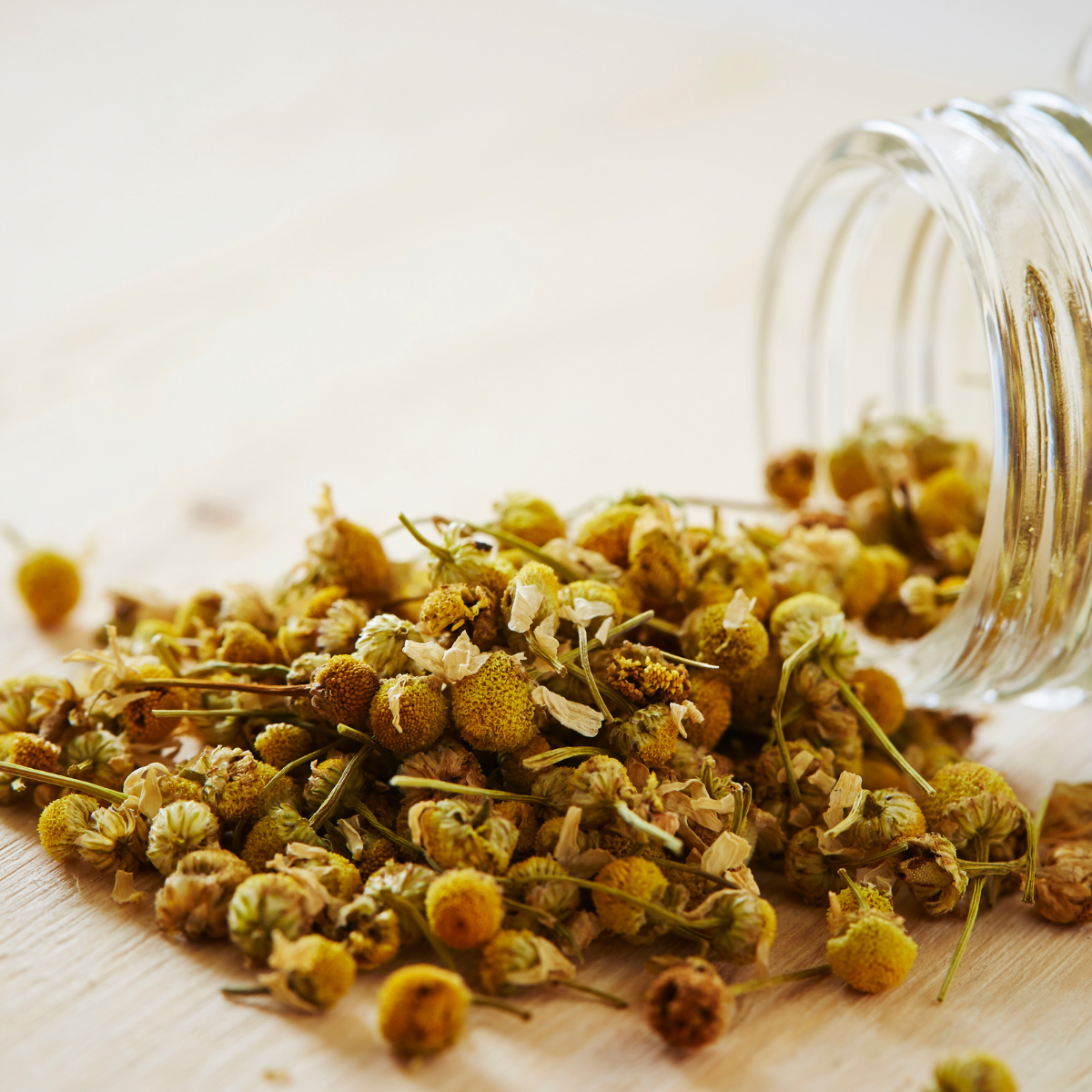 Oct 17: Herbs for the Nervous System + Tea Formulation