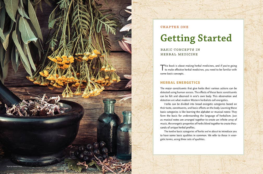 Modern Herbal Dispensatory by Thomas Easley & Steven Horne
