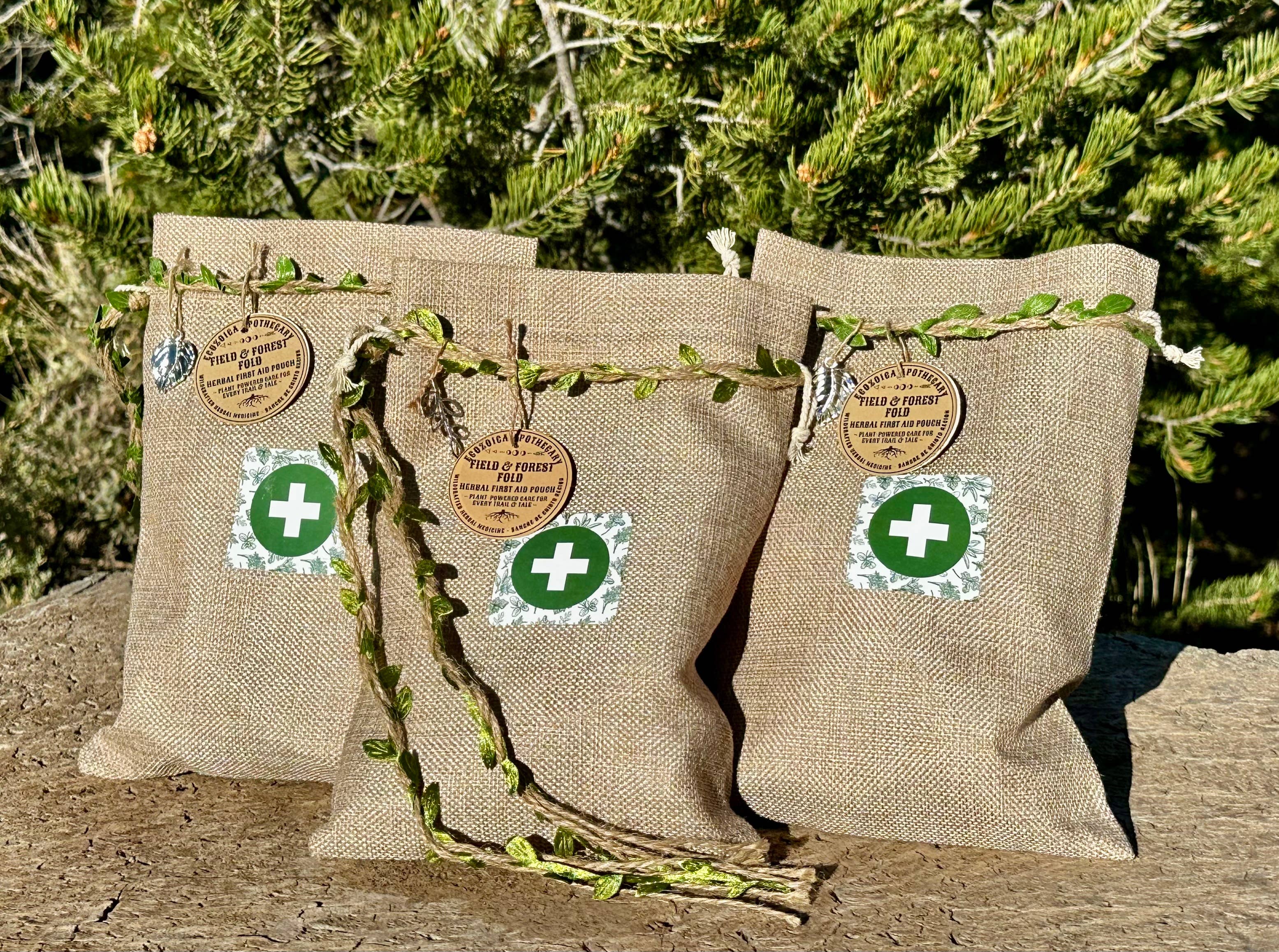 Field & Forest Fold Herbal First Aid Kit by Ecozoica Apothecary 1 kit, lots of benefits