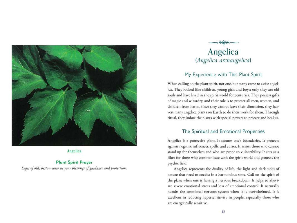 Divine Nature of Plants by Laura Aversano