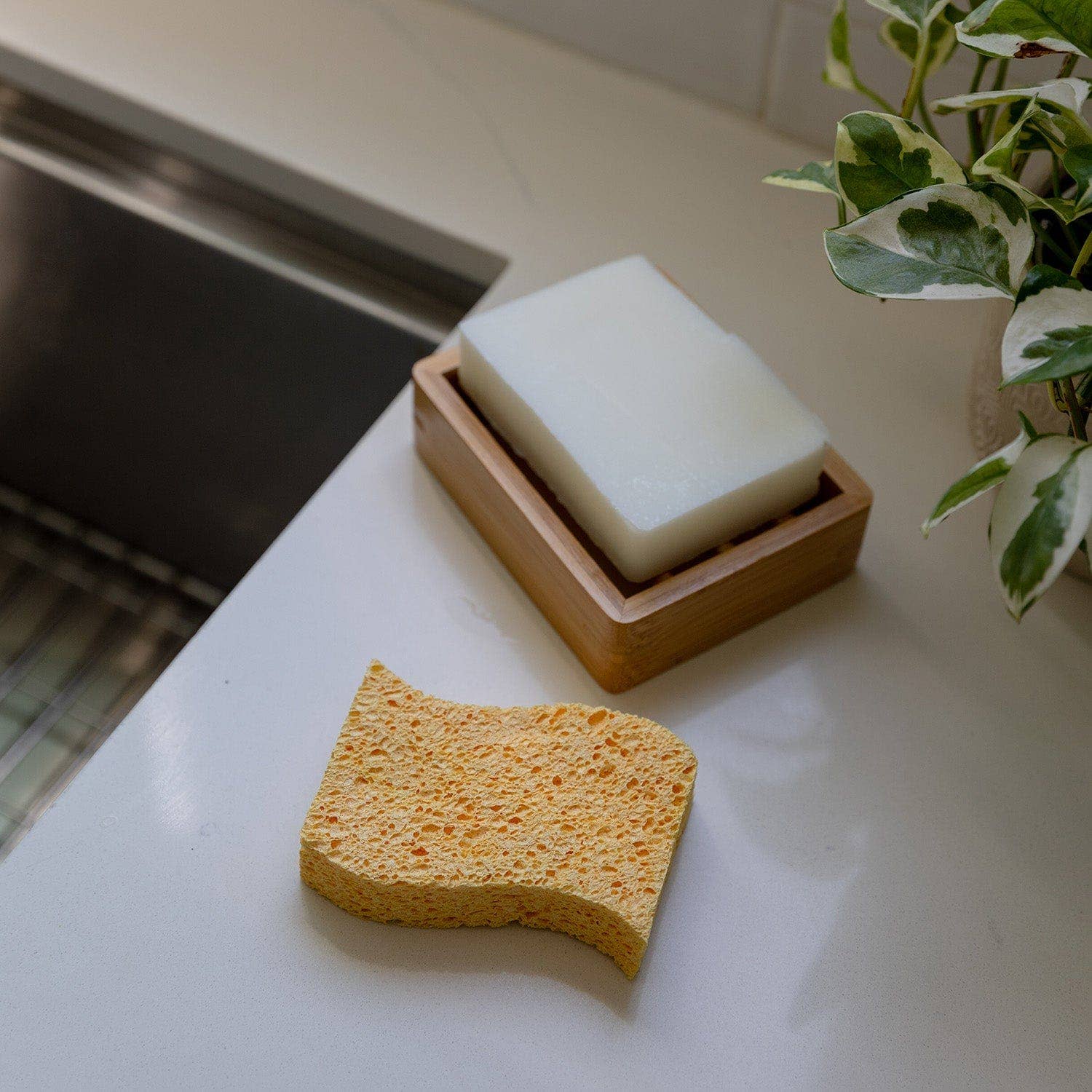 Biodegradable Kitchen Sponge by ZWS Essentials 2-Pack