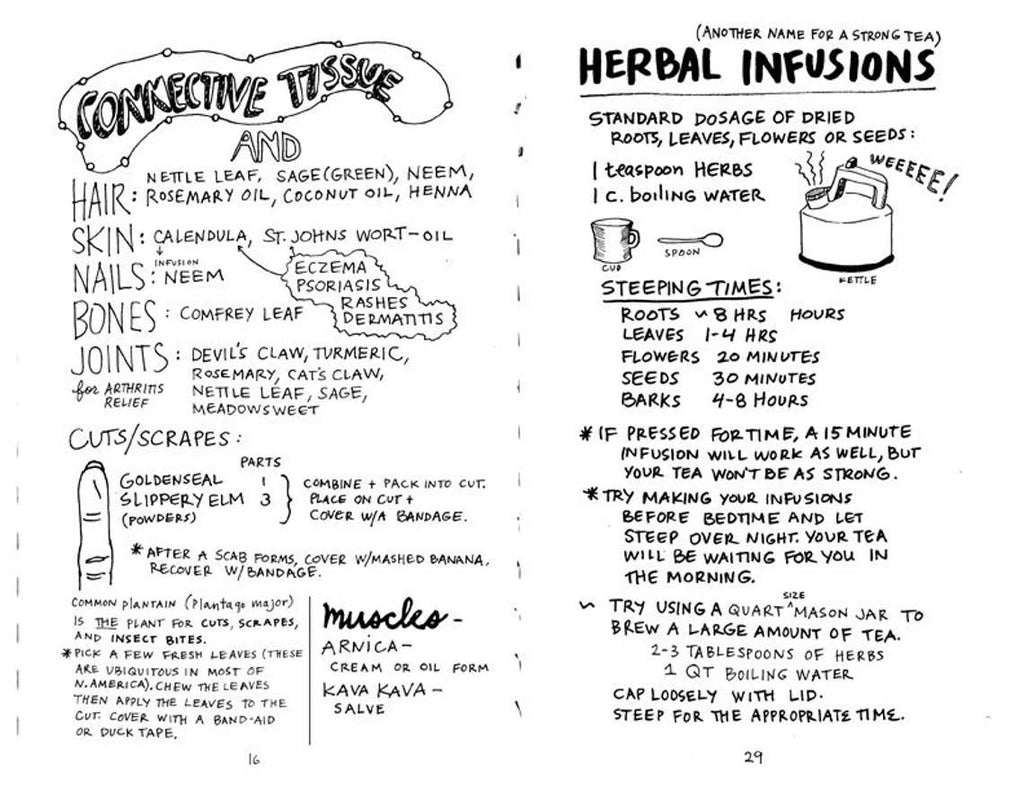Healing Your Magical Body with Plants & Minerals (Zine) by Jo-Jo Sherrow