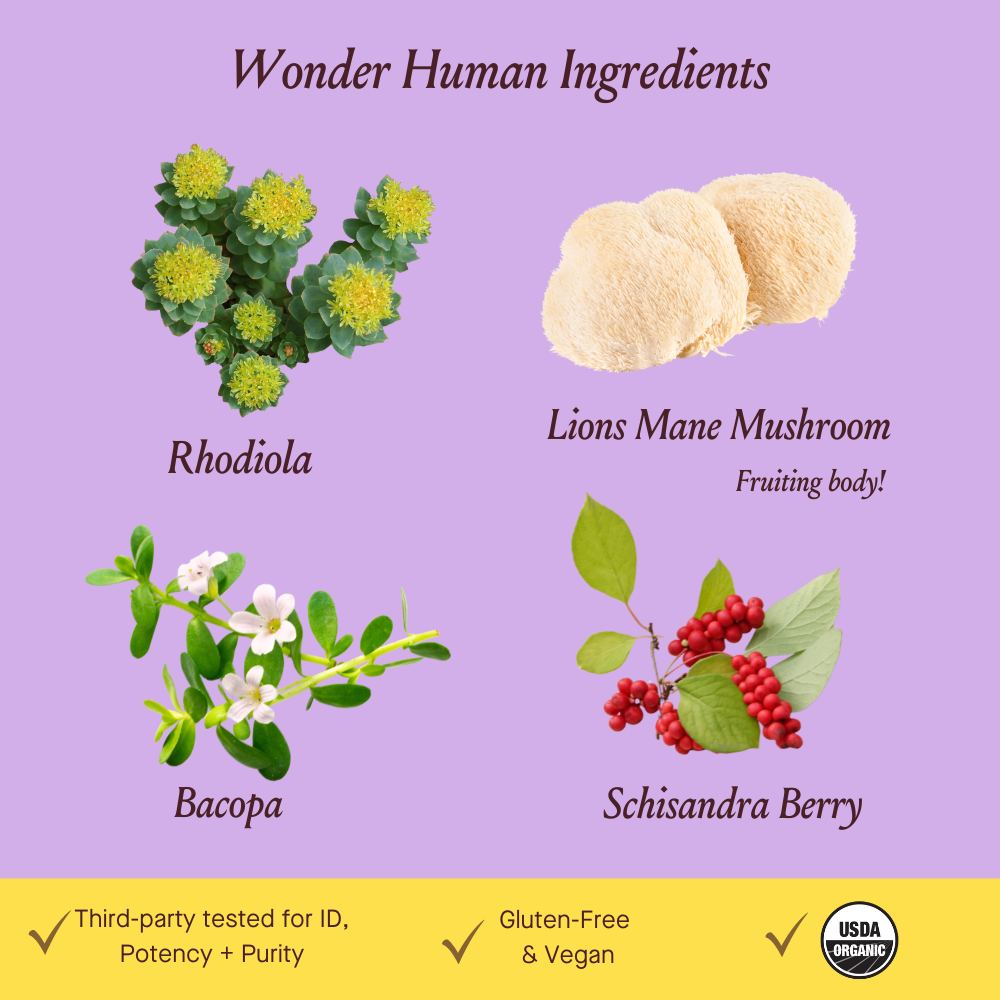 Wonder Human Herbal Capsules by Urban Moonshine 30ct