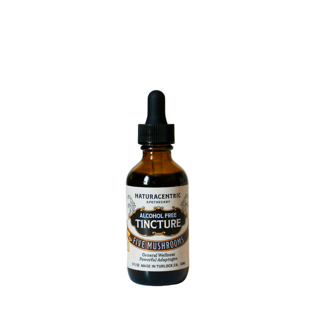 Five Mushrooms Alcohol Free Tincture by Naturacentric 2 fl oz