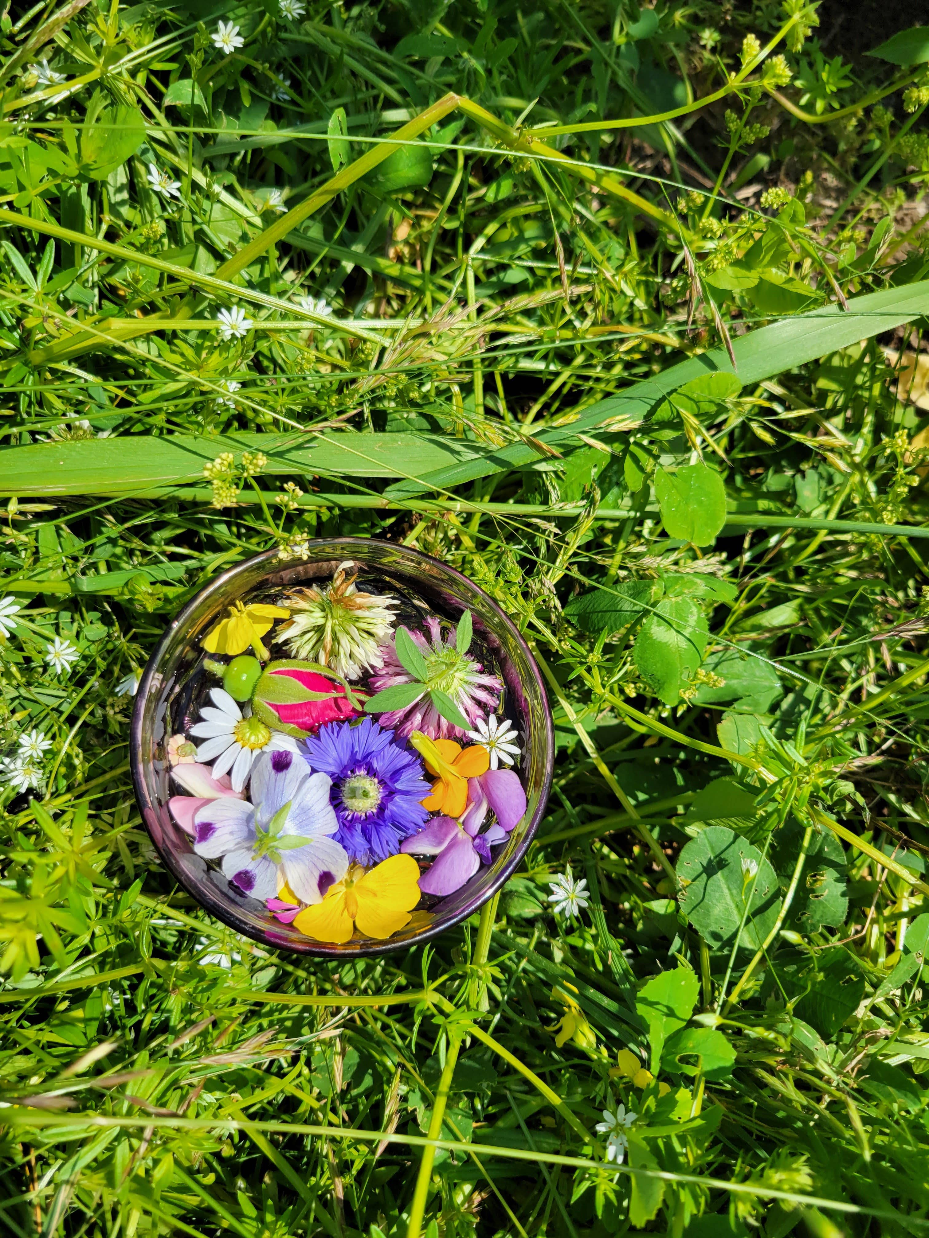 Summer Solstice Flower Essence by Cosmic Mother 1 fl oz