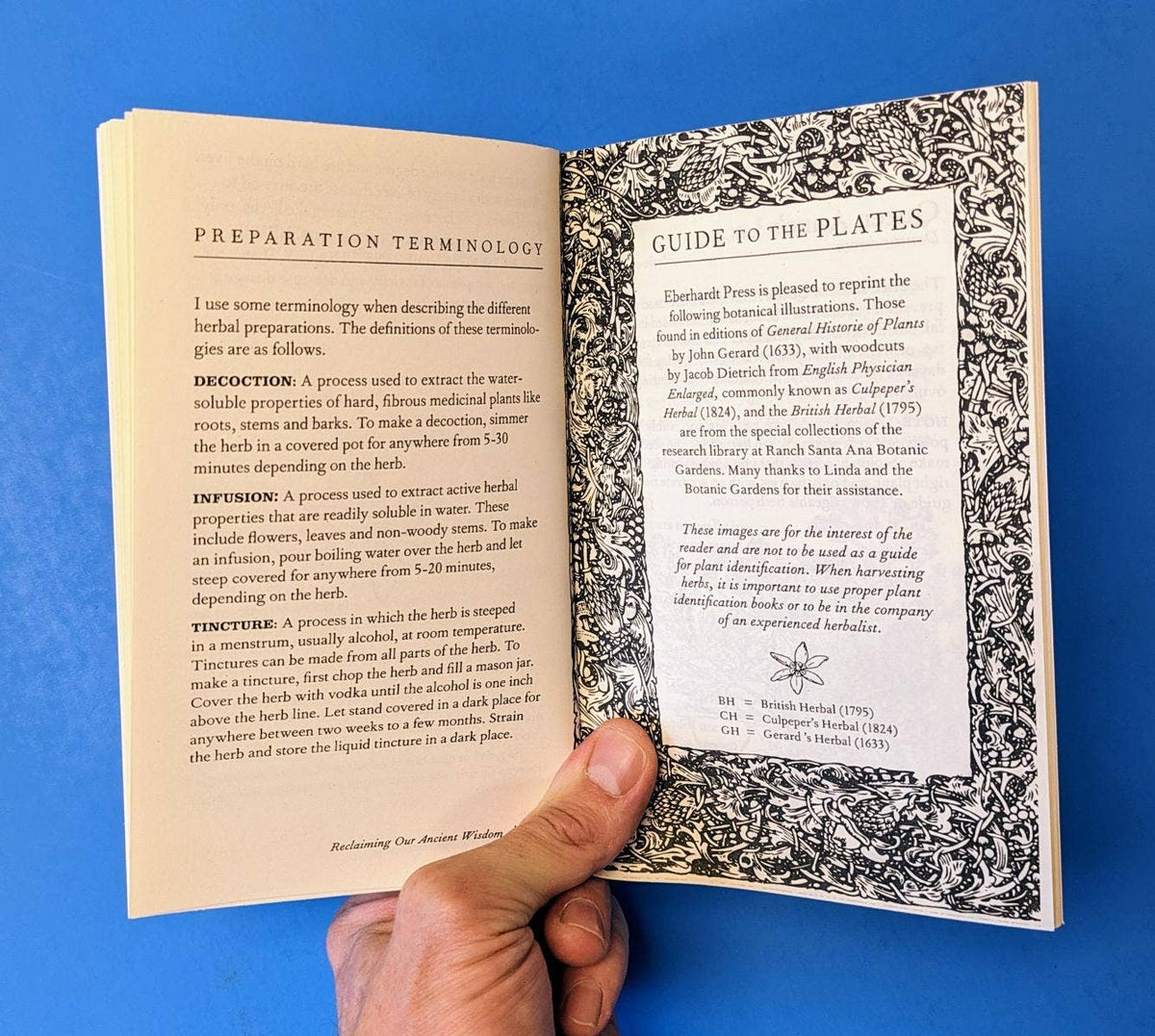 Reclaiming Our Ancient Wisdom: Midwives & Herbalists (Zine) by Catherine Marie Yuenet