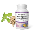 Ashwagandha® by Natural Factors 30 capsules