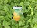 Triple Lemon Tea by Four Elements Herbals 16 Teabags