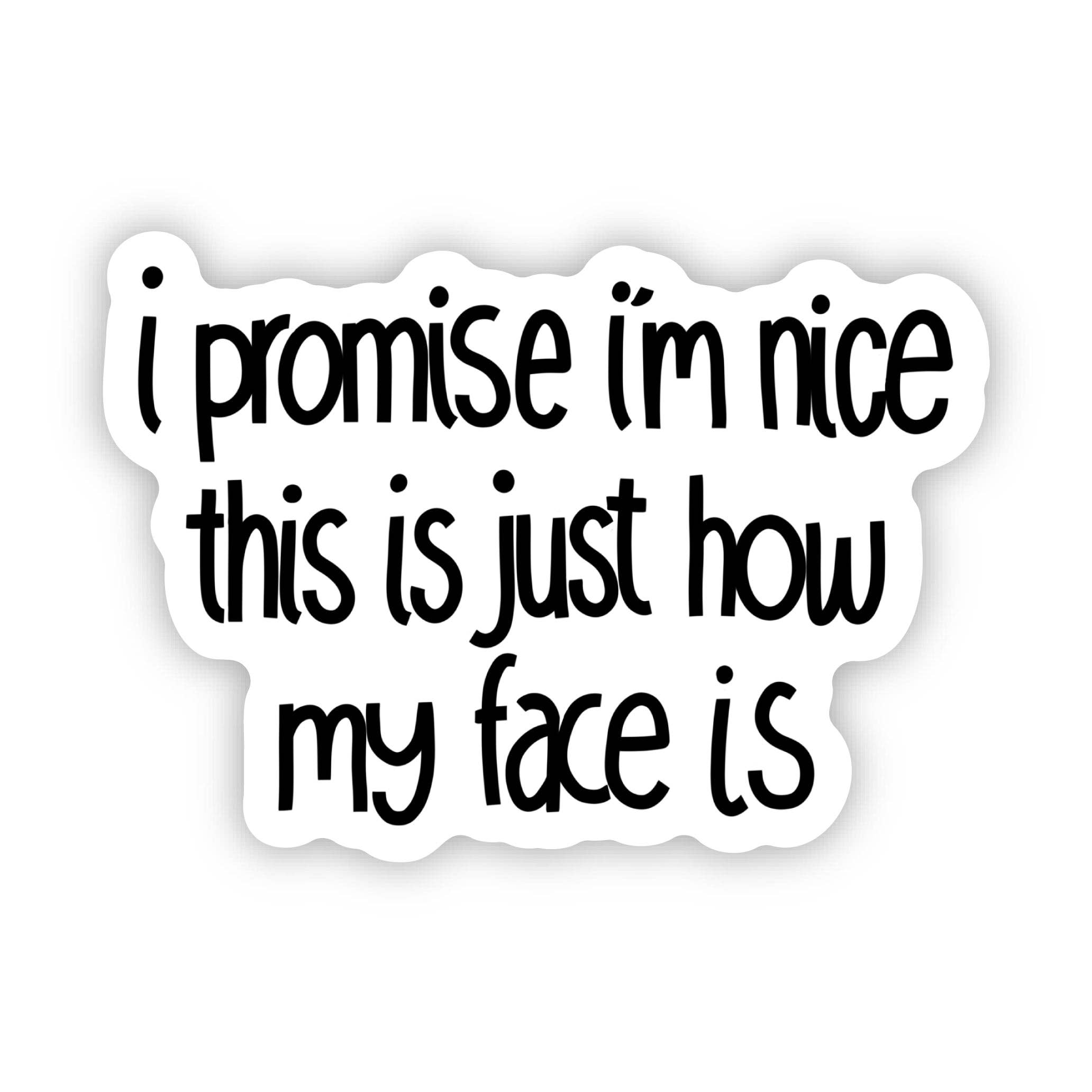 I Promise I'm Nice This Is Just How My Face Is Text Sticker by Big Moods