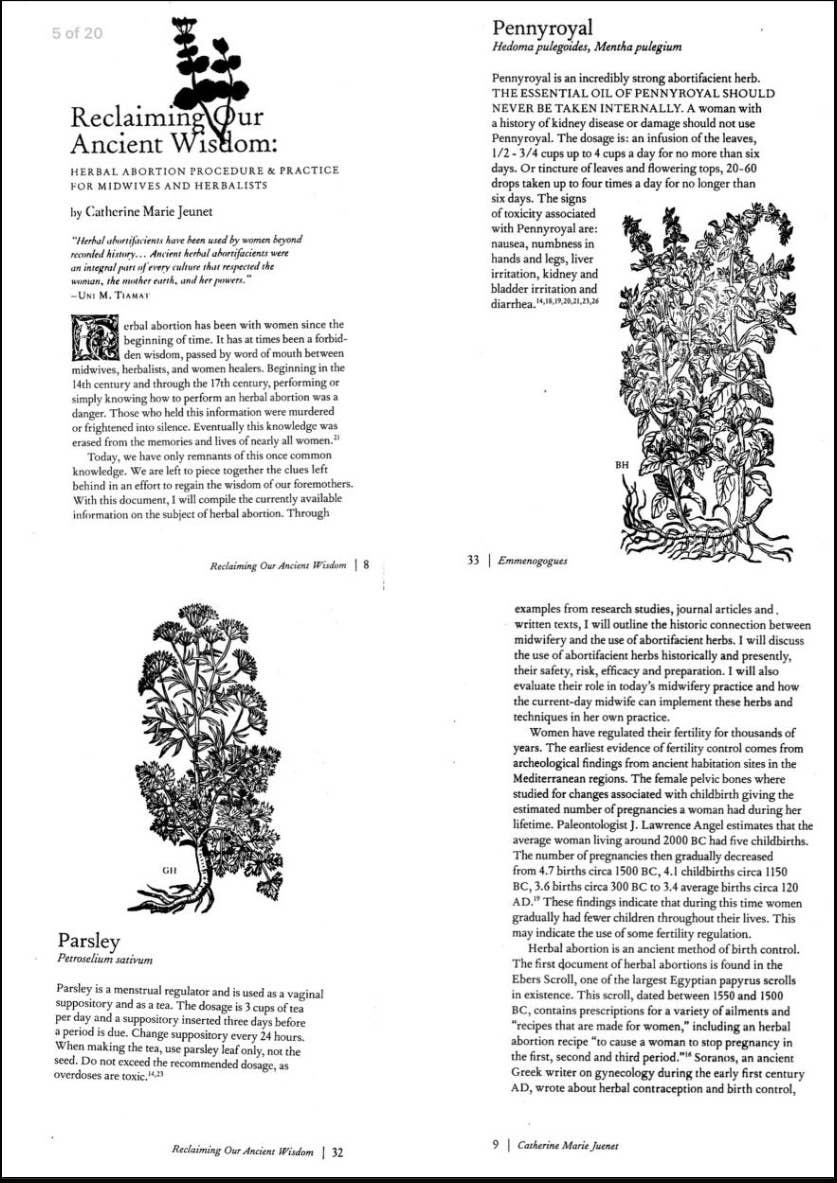Reclaiming Our Ancient Wisdom: Midwives & Herbalists (Zine) by Catherine Marie Yuenet