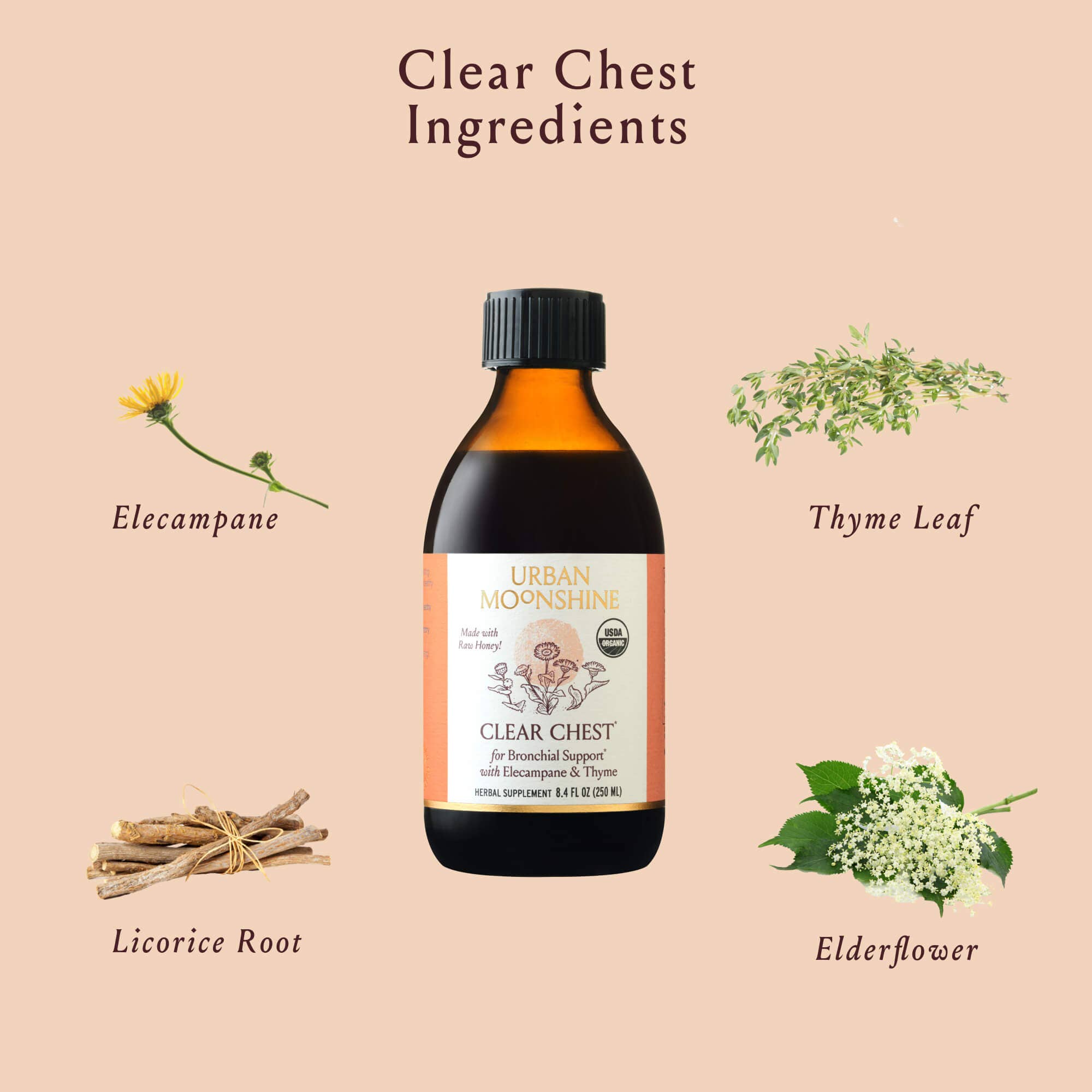 Clear Chest Syrup by Urban Moonshine 4.2fl oz