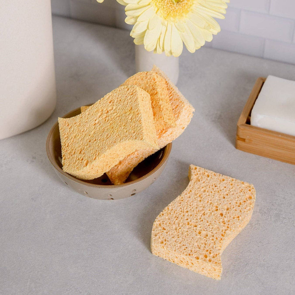 Biodegradable Kitchen Sponge by ZWS Essentials 2-Pack
