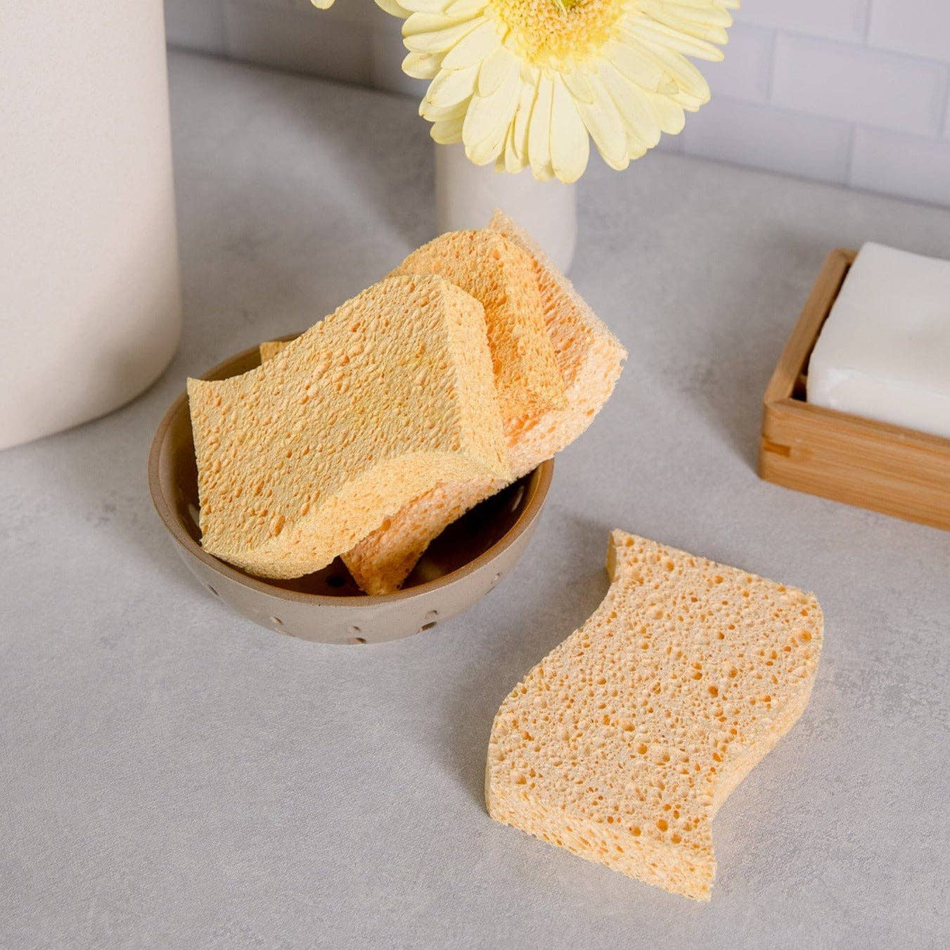Biodegradable Kitchen Sponge by ZWS Essentials 2-Pack