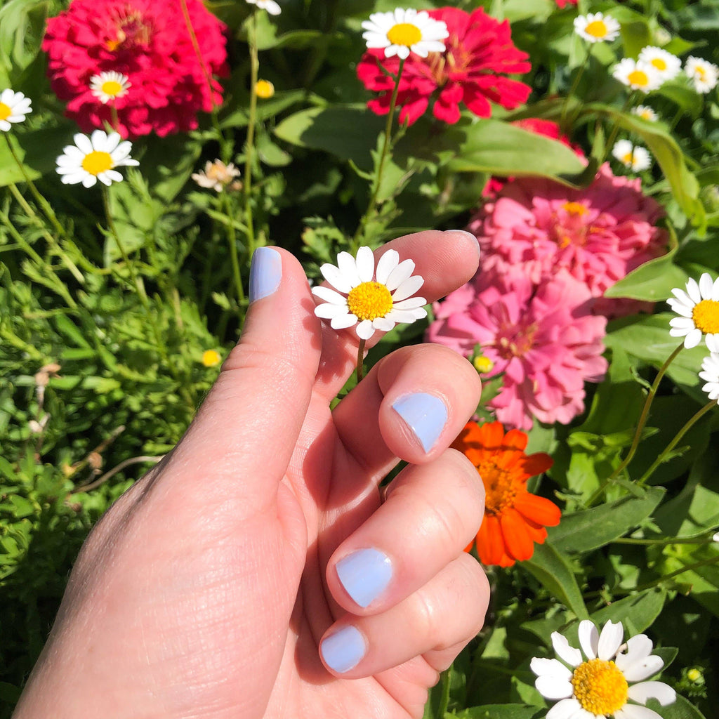 Non-Toxic Nail Polish (Surf's-Up) by Seven Seas