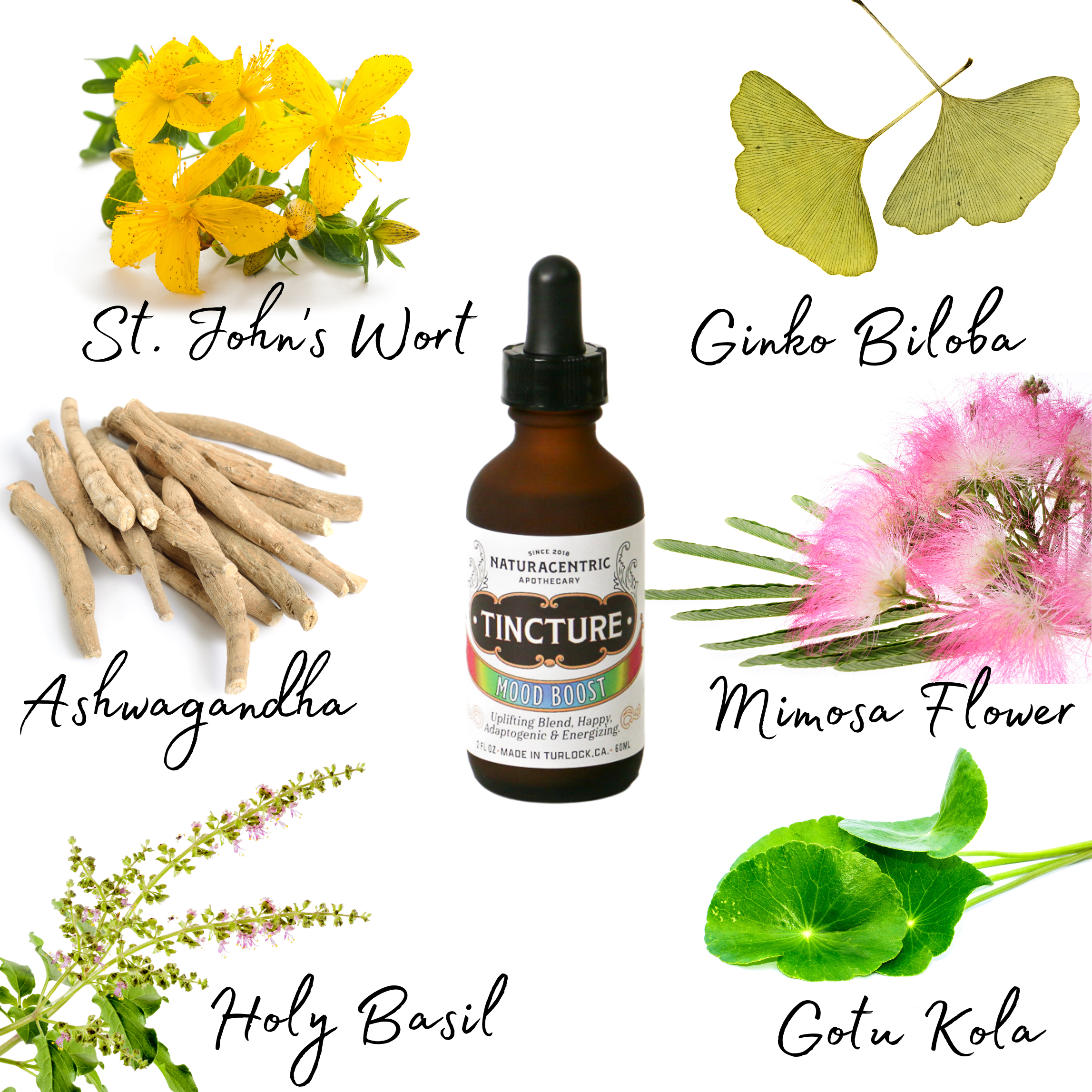Mood Boost Tincture by Naturacentric 2 fl oz