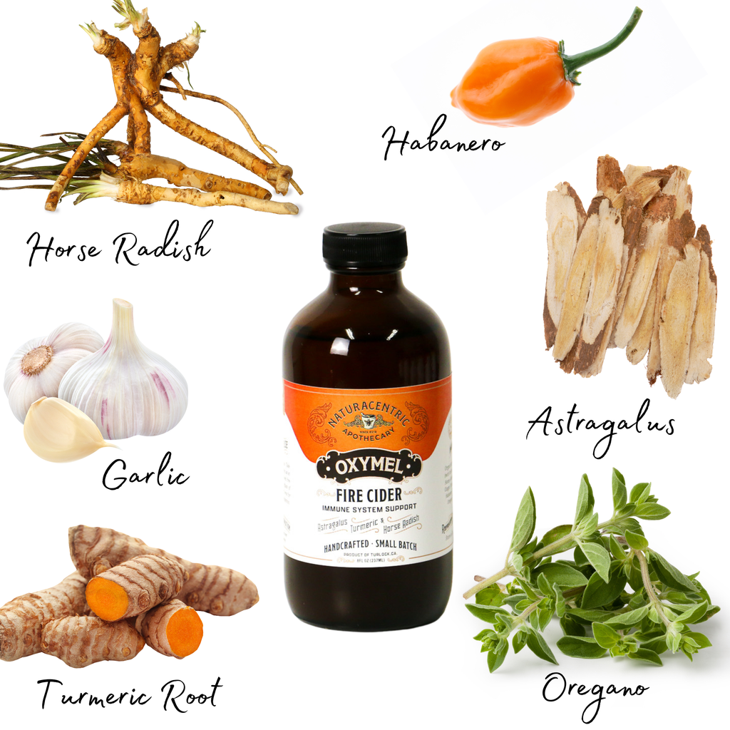 Fire Cider Oxymel by Naturacentric 8 fl oz