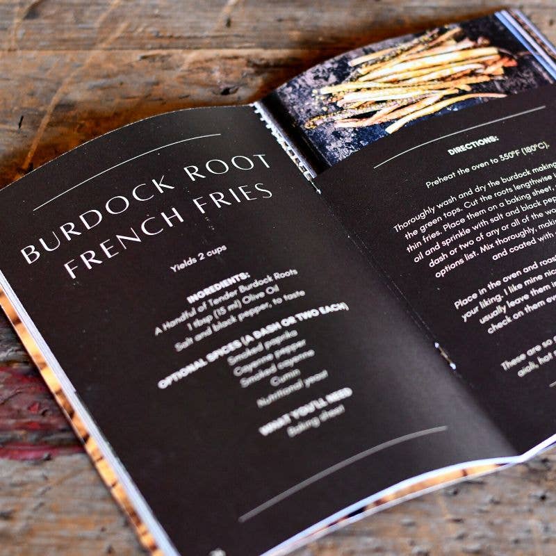 Herbal Medicine Making Zines by Herbalist Kathi Langelier