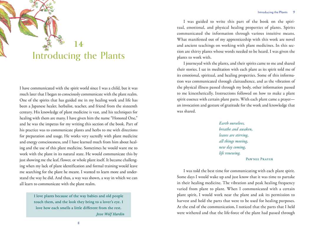 Divine Nature of Plants by Laura Aversano