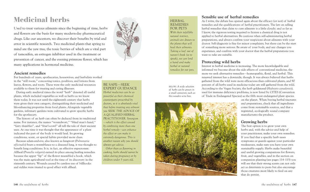 Green Housekeeping by Christina Strutt