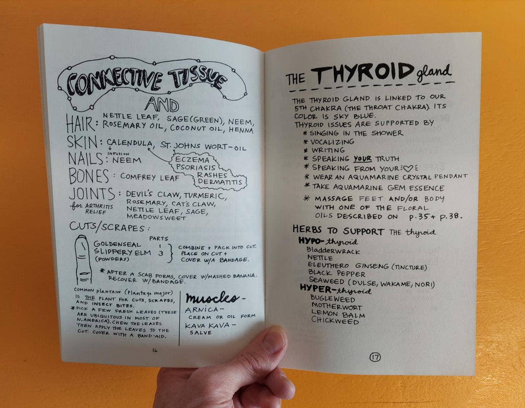 Healing Your Magical Body with Plants & Minerals (Zine) by Jo-Jo Sherrow
