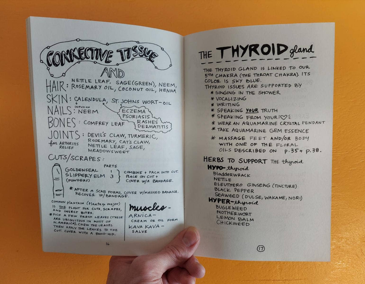 Healing Your Magical Body with Plants & Minerals (Zine) by Jo-Jo Sherrow