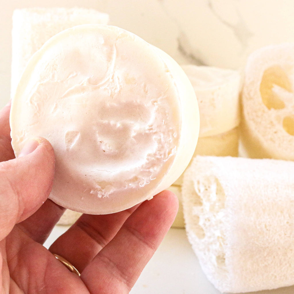 Tallow Loofah Bar Soap | Citrus + Mint by Dandelion Naturals 3.5oz
