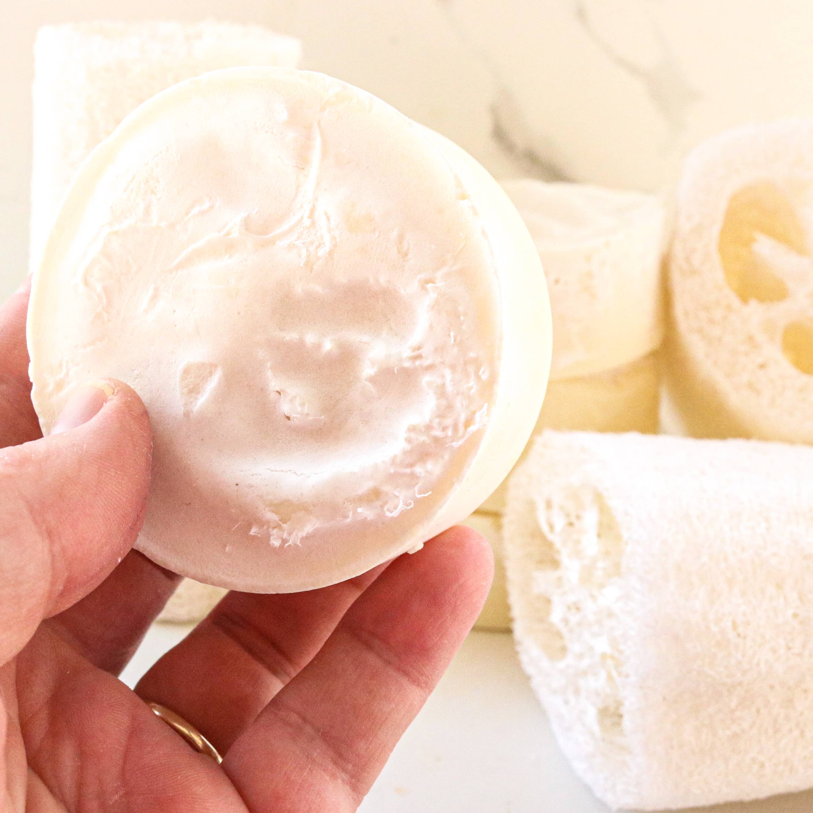 Tallow Loofah Bar Soap | Citrus + Mint by Dandelion Naturals 3.5oz