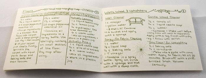 Nontoxic Housecleaning (Zine) by Raleigh Briggs