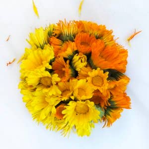 Calendula Seeds (Calendula officinalis) by Smoke Camp Crafts 100 Seeds (1 grams)