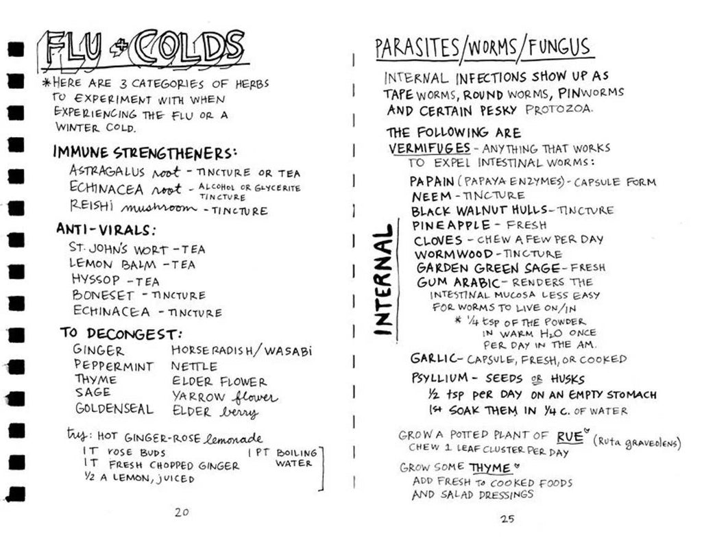 Healing Your Magical Body with Plants & Minerals (Zine) by Jo-Jo Sherrow