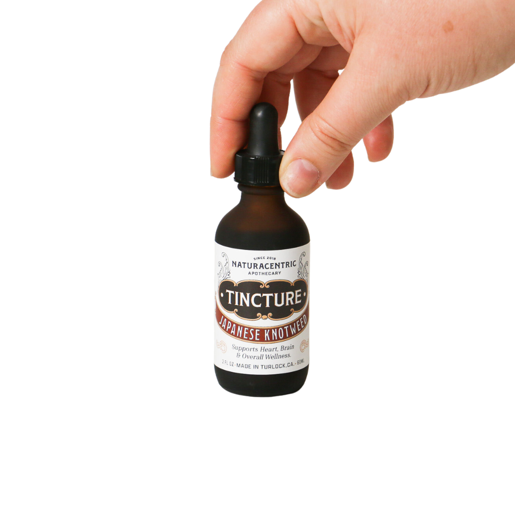 Japanese Knotweed Tincture by Naturacentric 2 fl oz