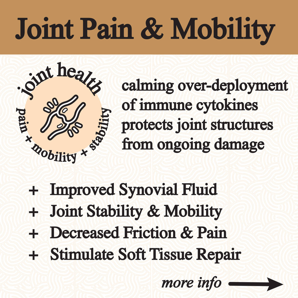 Inflammation Tincture by Roots Apothecary 2 fl oz