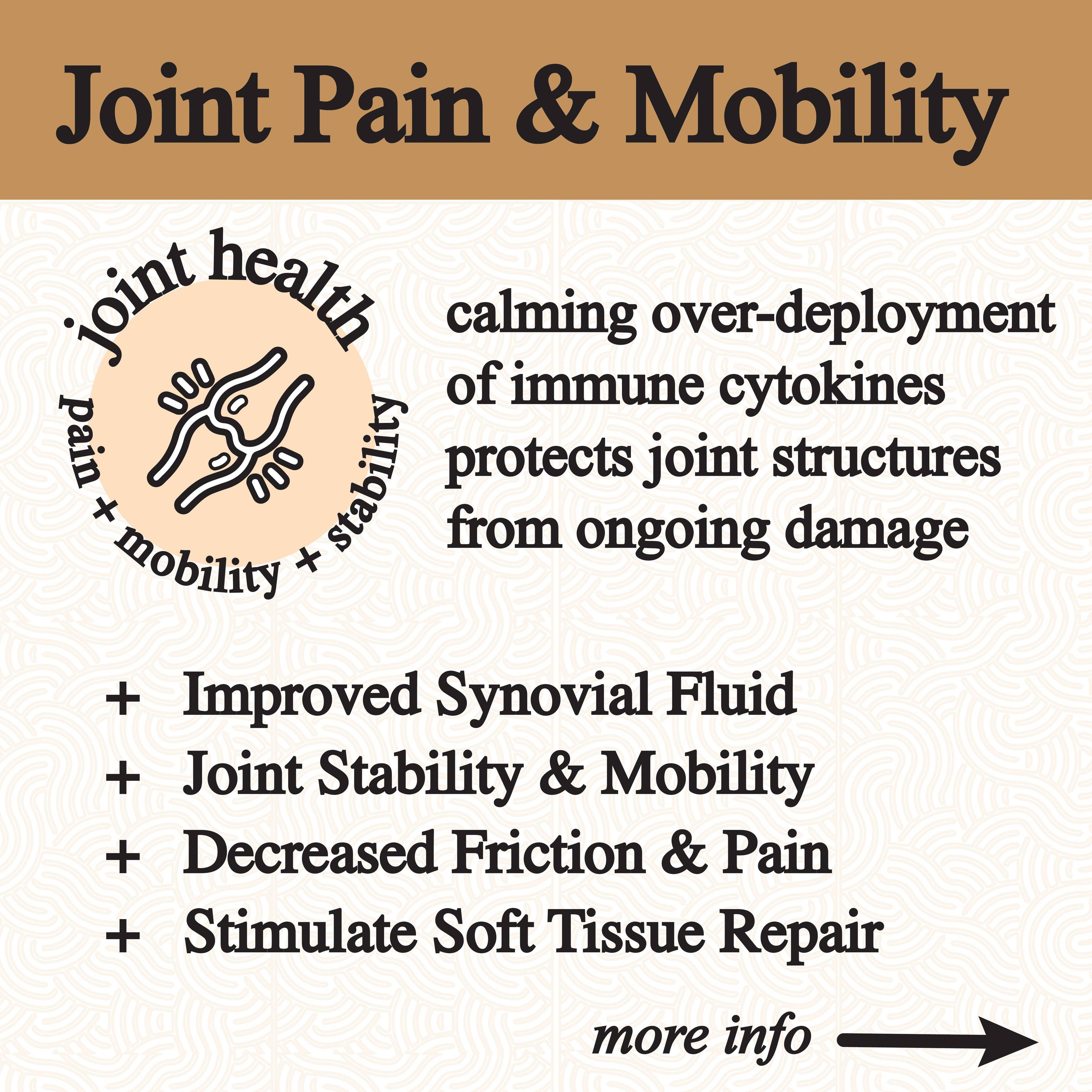 Inflammation Tincture by Roots Apothecary 2 fl oz