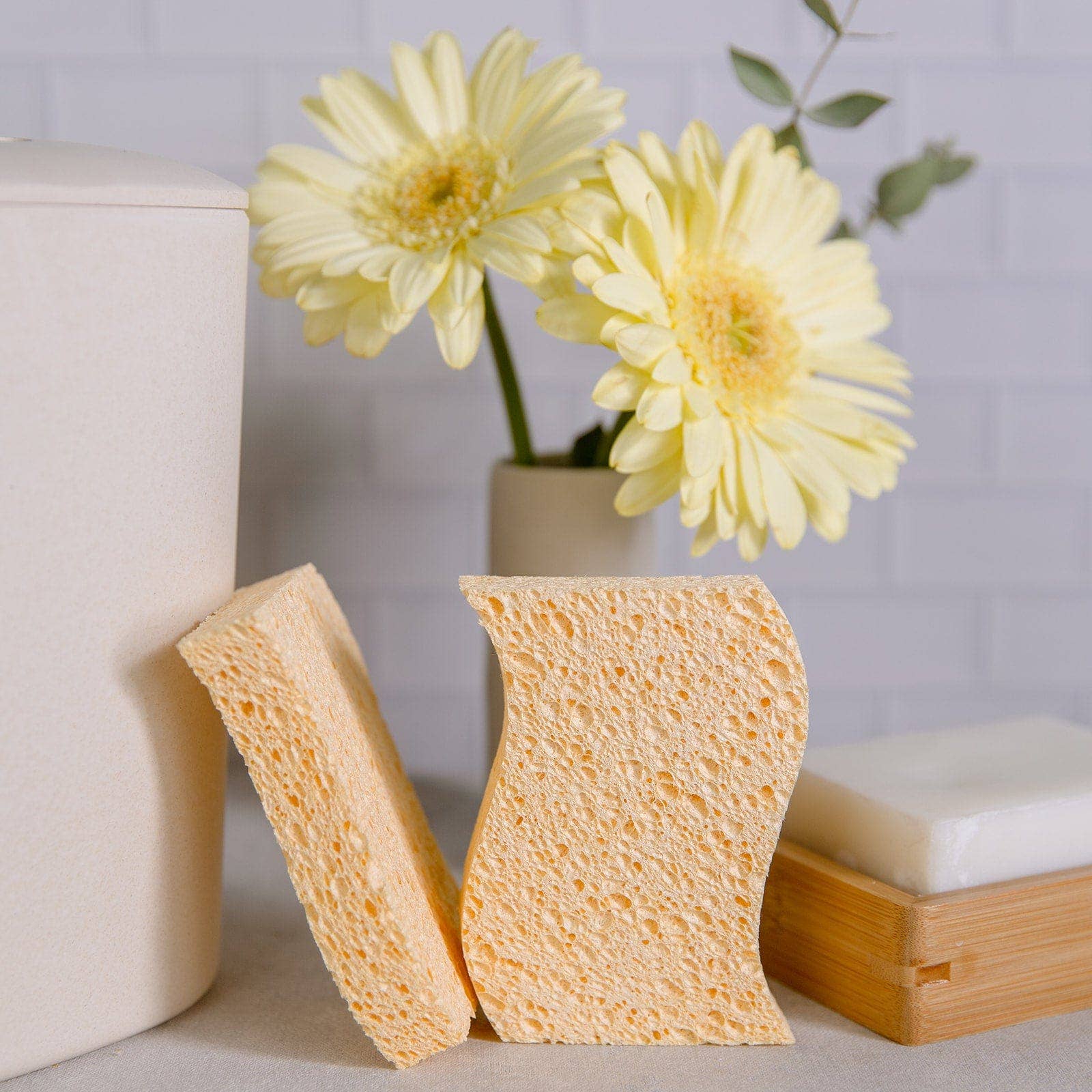 Biodegradable Kitchen Sponge by ZWS Essentials 2-Pack