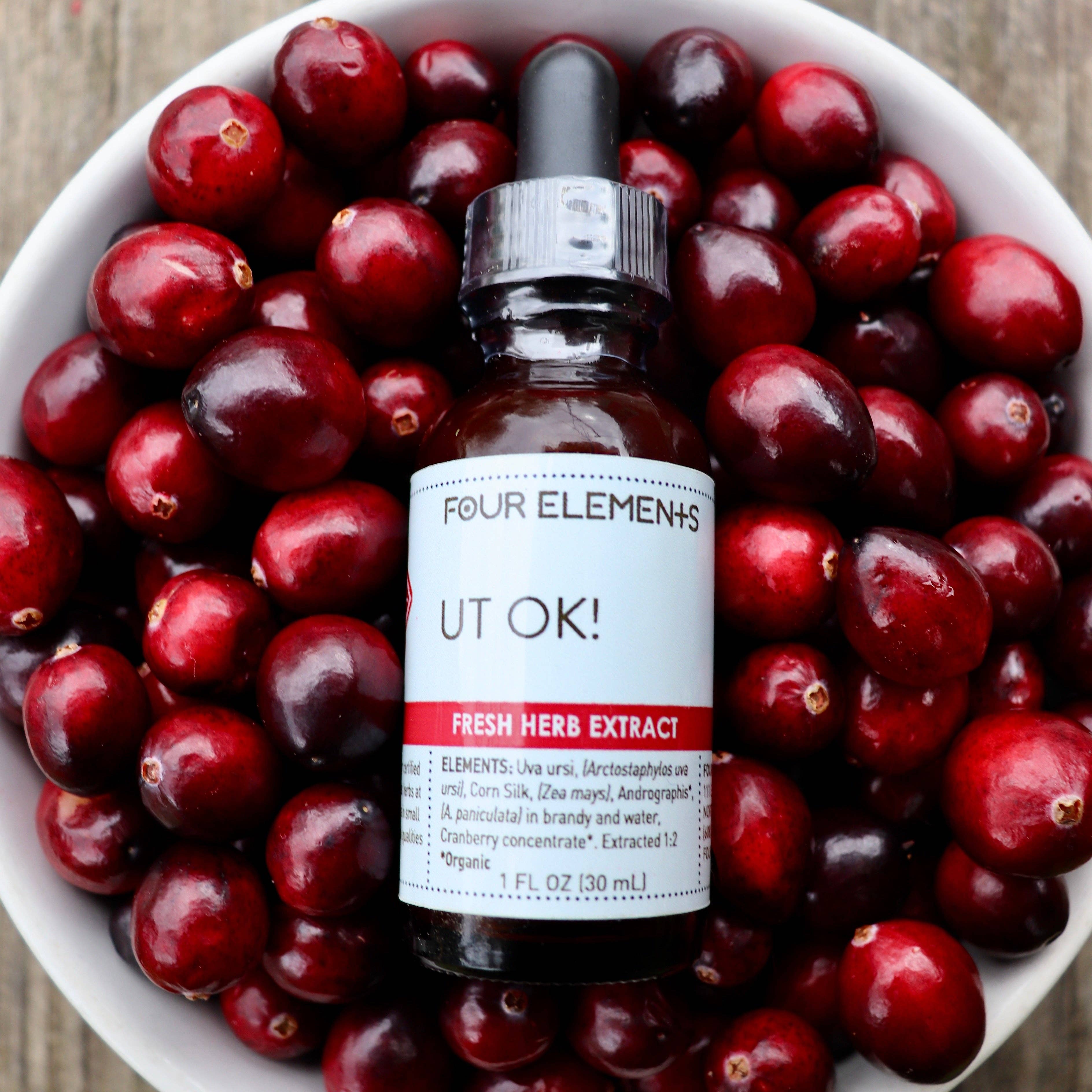 UT OK! Tincture Blend by Four Elements Organic Herbals 1 oz