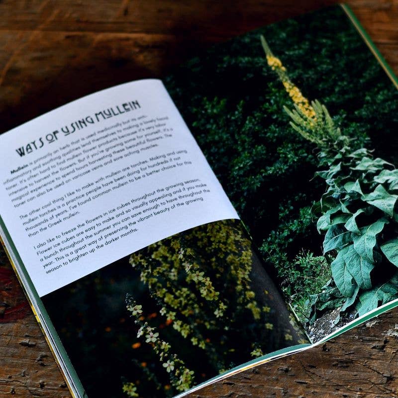 Herbal Medicine Making Zines by Herbalist Kathi Langelier