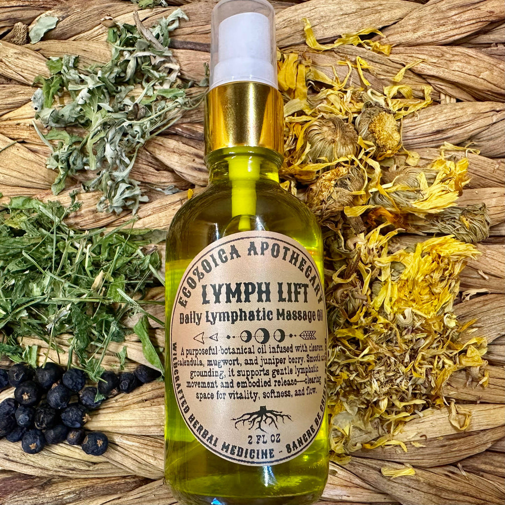 Lymph Lift Herbal Infused Lymphatic Massage Oil by Ecozoica Apothecary 2floz