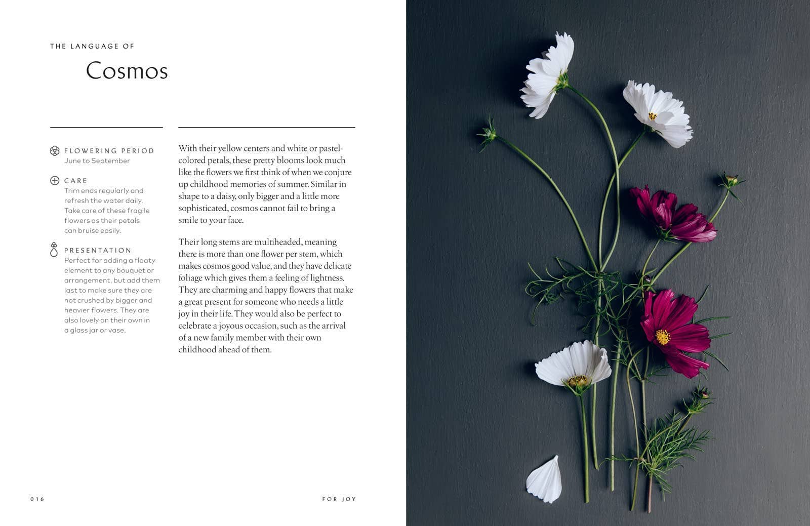 Healing Power of Flowers by Claire Bowen