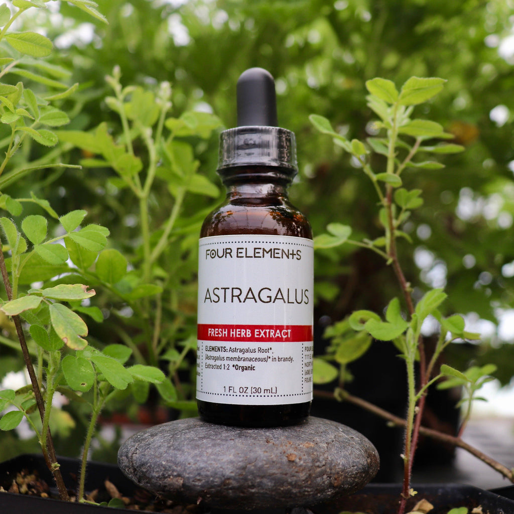 Astragalus Tincture by Four Elements Herbals 1 oz