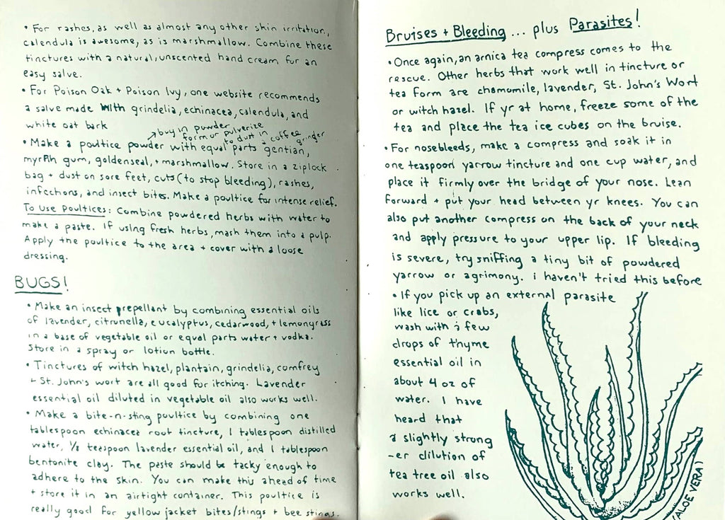 Herbal First Aid: Assembling a Natural First Aid Kit (Zine) by Raleigh Briggs