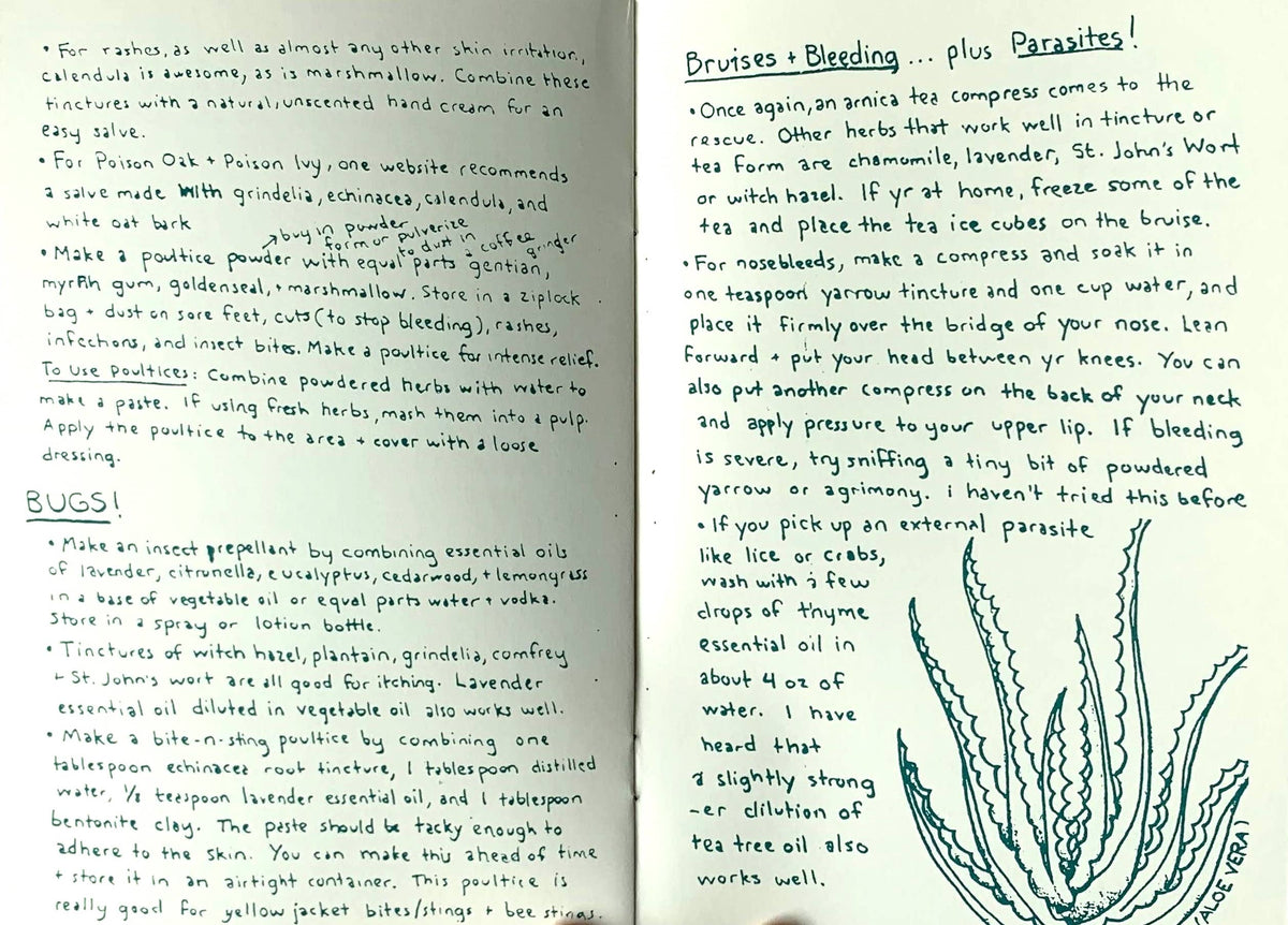 Herbal First Aid: Assembling a Natural First Aid Kit (Zine) by Raleigh Briggs