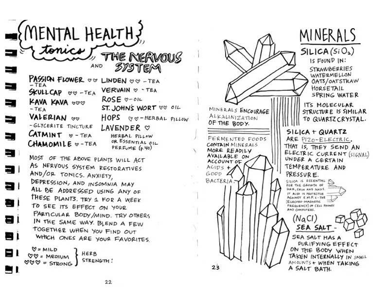 Healing Your Magical Body with Plants & Minerals (Zine) by Jo-Jo Sherrow