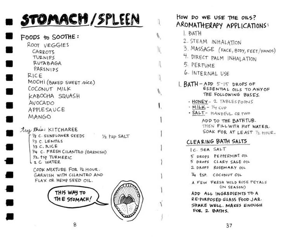 Healing Your Magical Body with Plants & Minerals (Zine) by Jo-Jo Sherrow