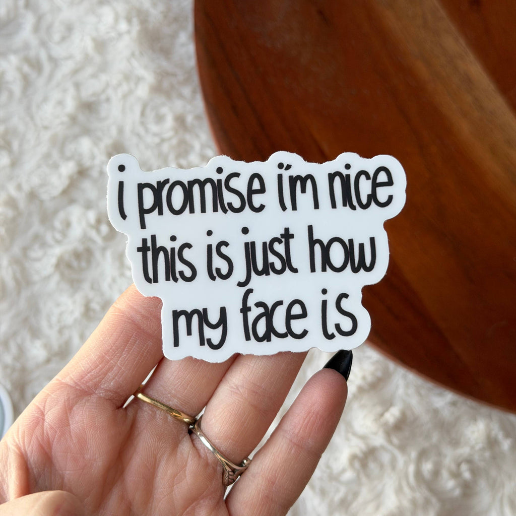 I Promise I'm Nice This Is Just How My Face Is Text Sticker by Big Moods