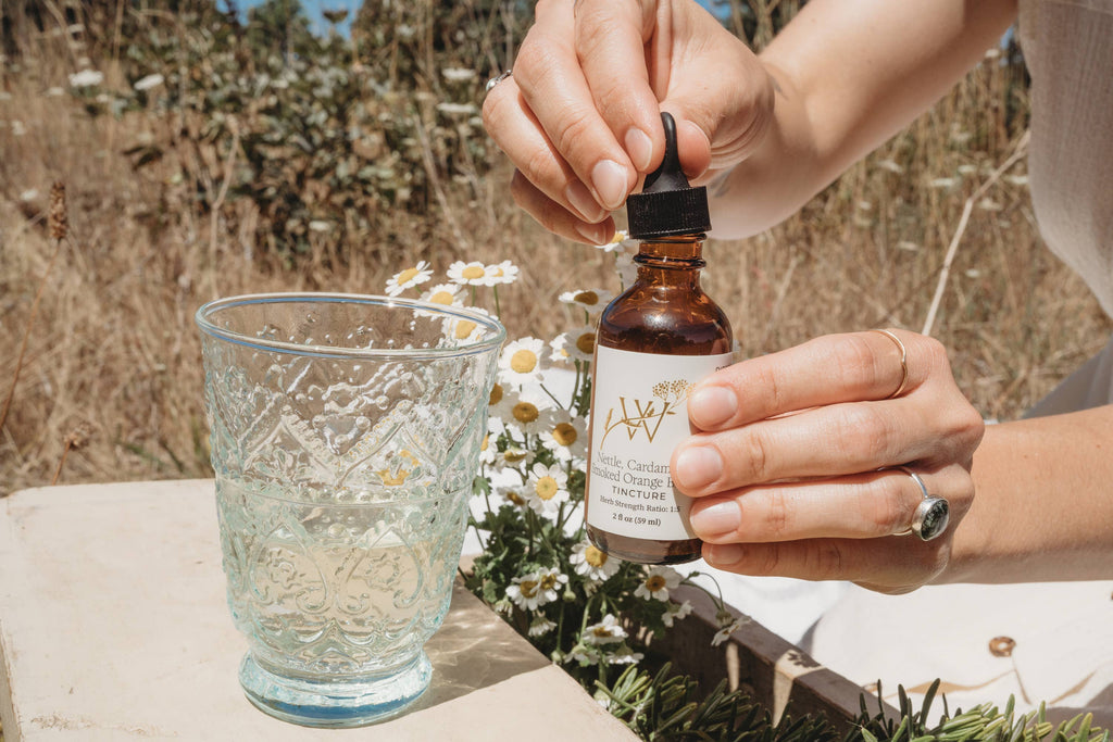 Nettle, Cardamom, Smoked Orange Bitters by Wilderness Maven Apothecary 2fl oz