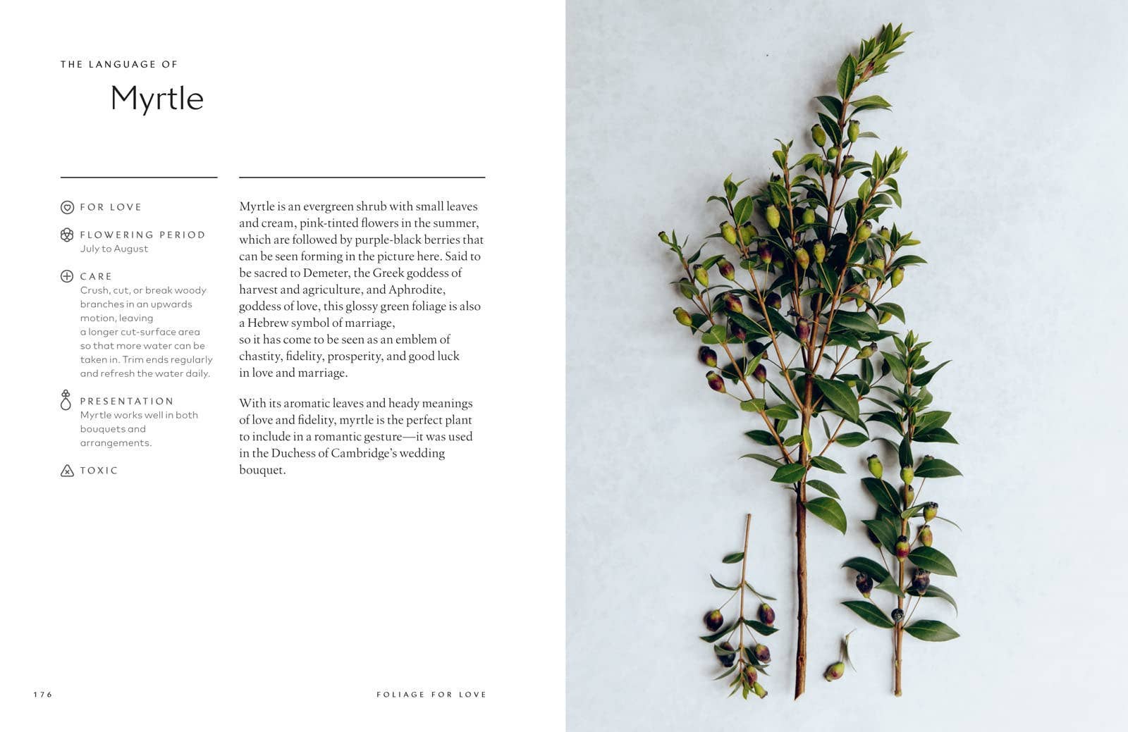 Healing Power of Flowers by Claire Bowen