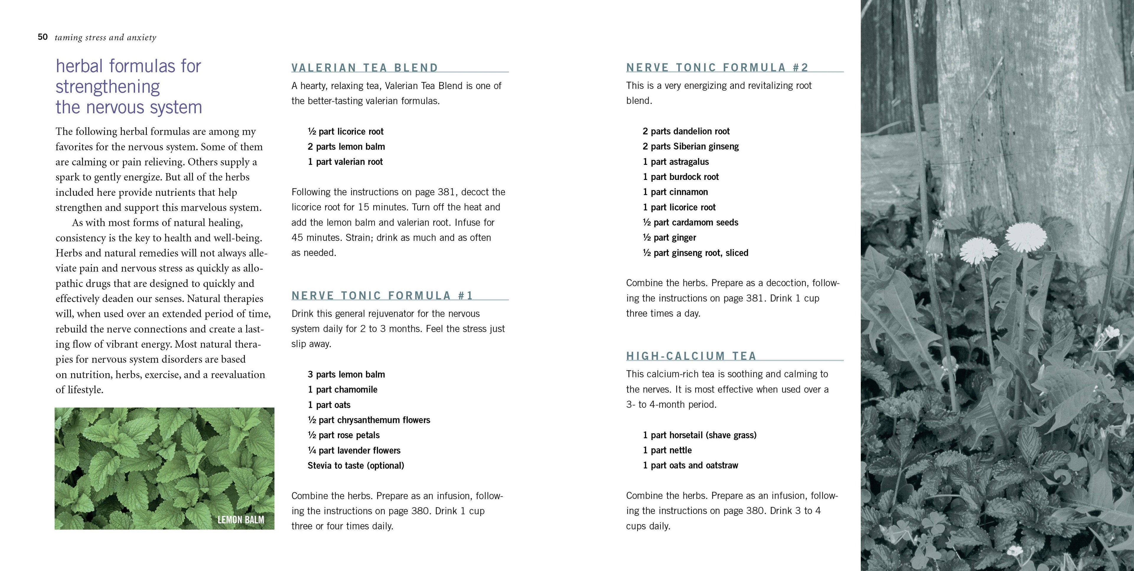 Rosemary Gladstar's Herbal Recipes For Vibrant Health by Rosemary Gladstar