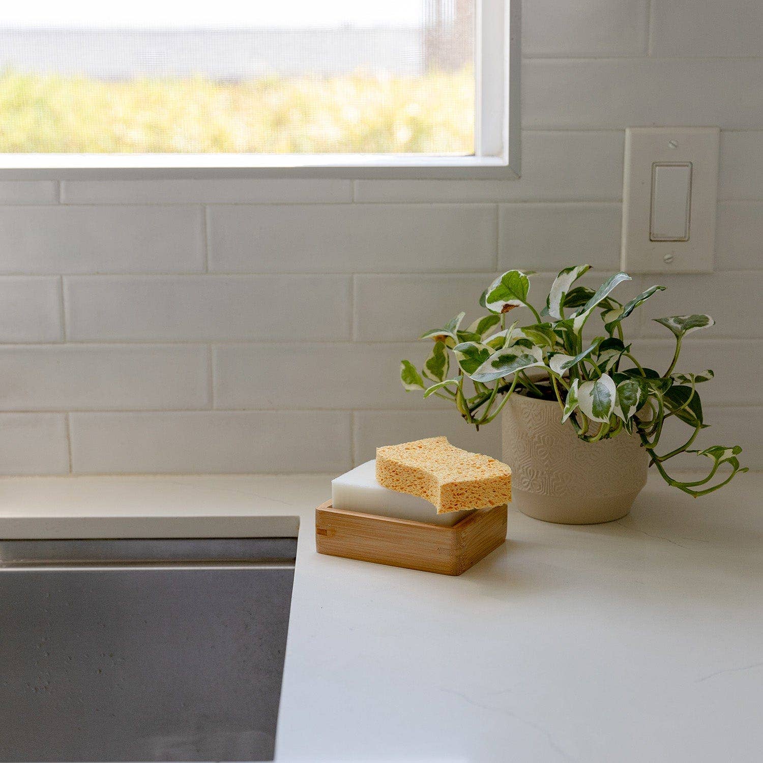 Biodegradable Kitchen Sponge by ZWS Essentials 2-Pack