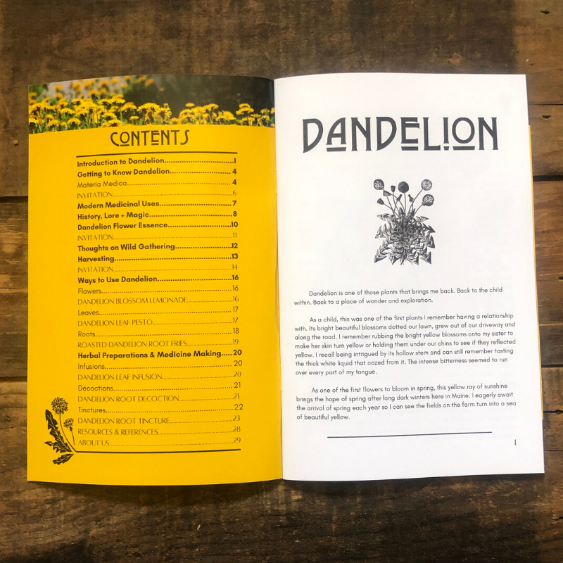 Herbal Medicine Making Zines by Herbalist Kathi Langelier