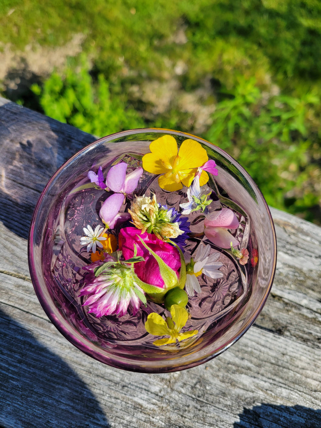 Summer Solstice Flower Essence by Cosmic Mother 1 fl oz